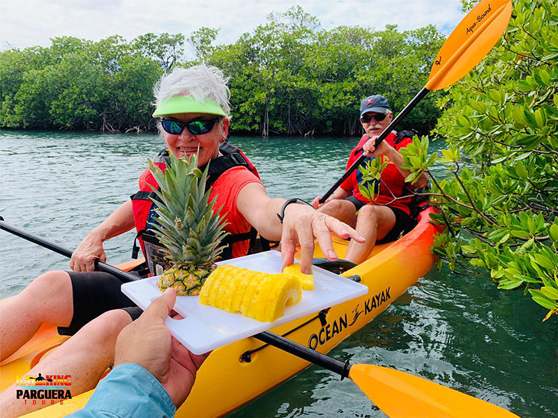 Tours companies offer kayak tours to the bay.